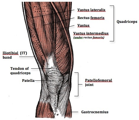 Combatting Knee Pain - ACE Physical Therapy and Sports Medicine Institute