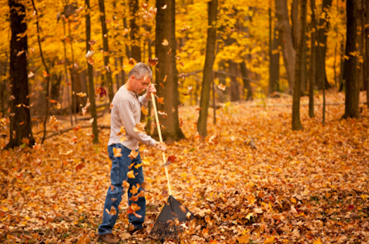 Prevent Leaf Raking Injuries