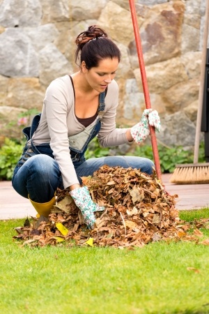 leaf raking injuries