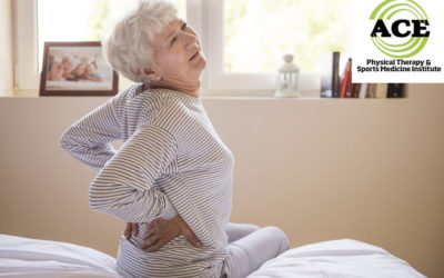 CHRONIC LOW BACK PAIN AND SOCIOECONOMIC INFLUENCE
