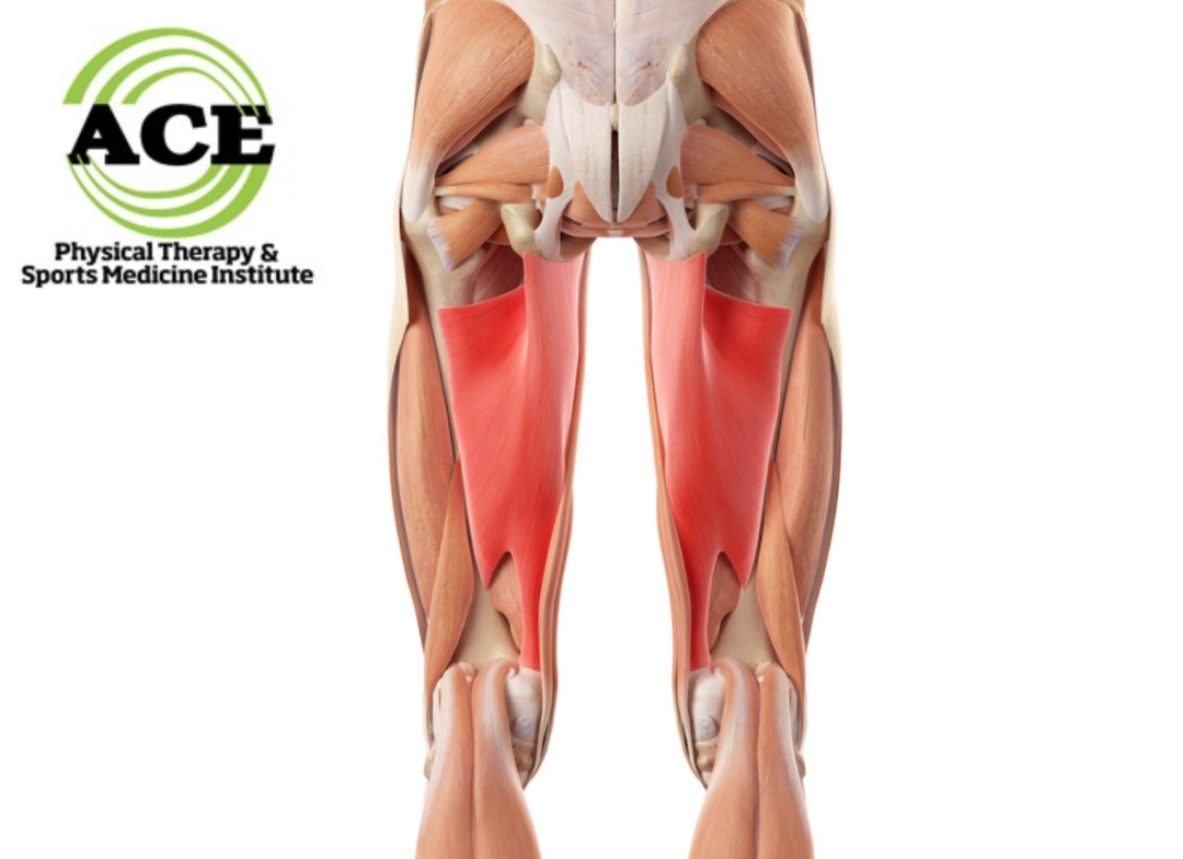 Abductor Magnus Muscle Herndon Knock Knee Treatment Falls Church