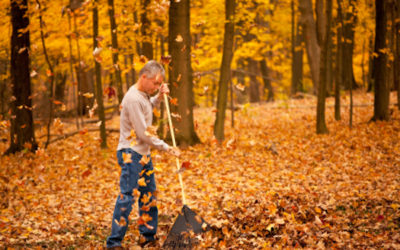 Prevent Leaf Raking Injuries