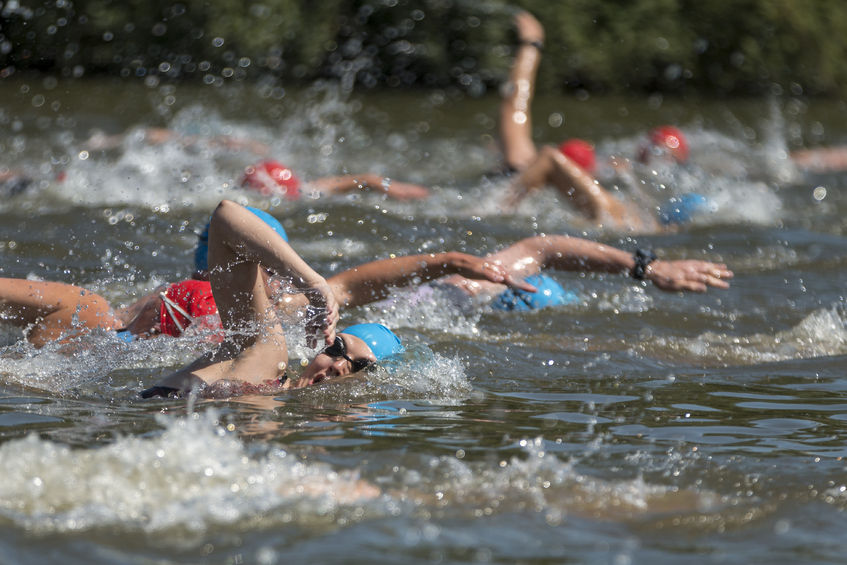 swimmers